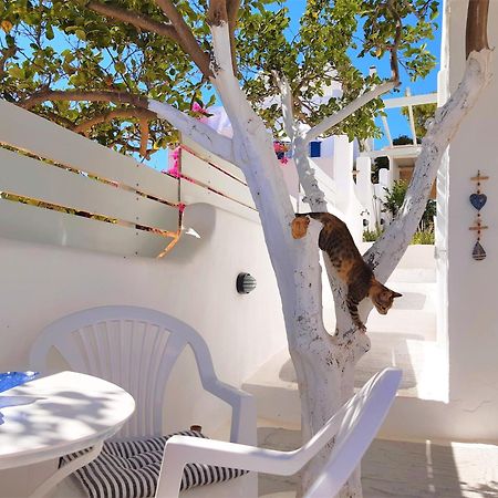 Lemon Tree Maisonette - Naoussa Paros Exteriör bild